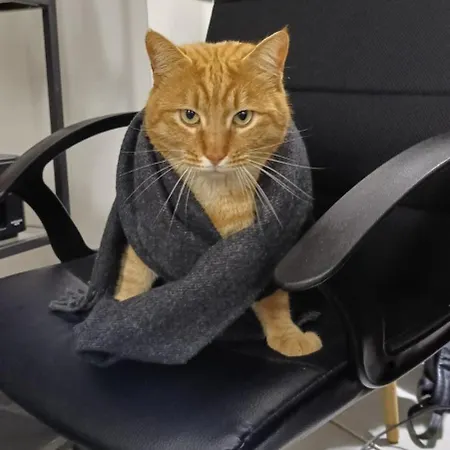 La Puteca Отель типа 